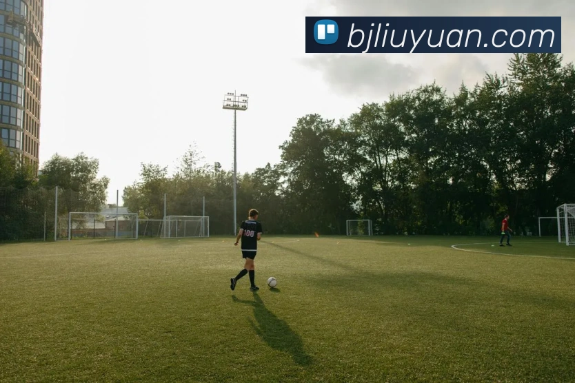 百家乐网站平台生态图